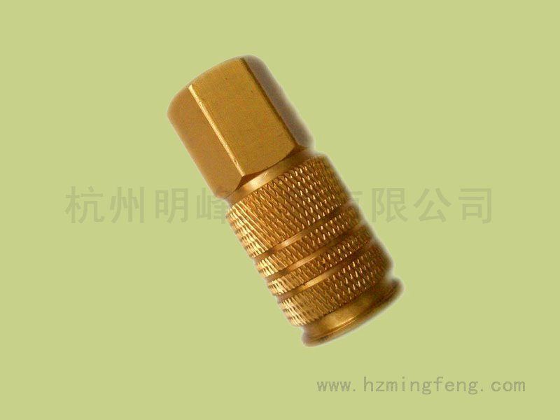 9004031(22*30.5欧美通用母接 NPT1/4F 刻字1/4