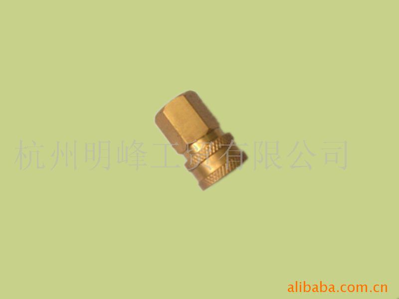8040030(1/8内螺纹直通液压快接)