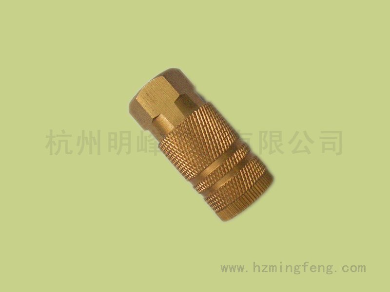 9011031(22 M型手动母接 NPT1/4F)