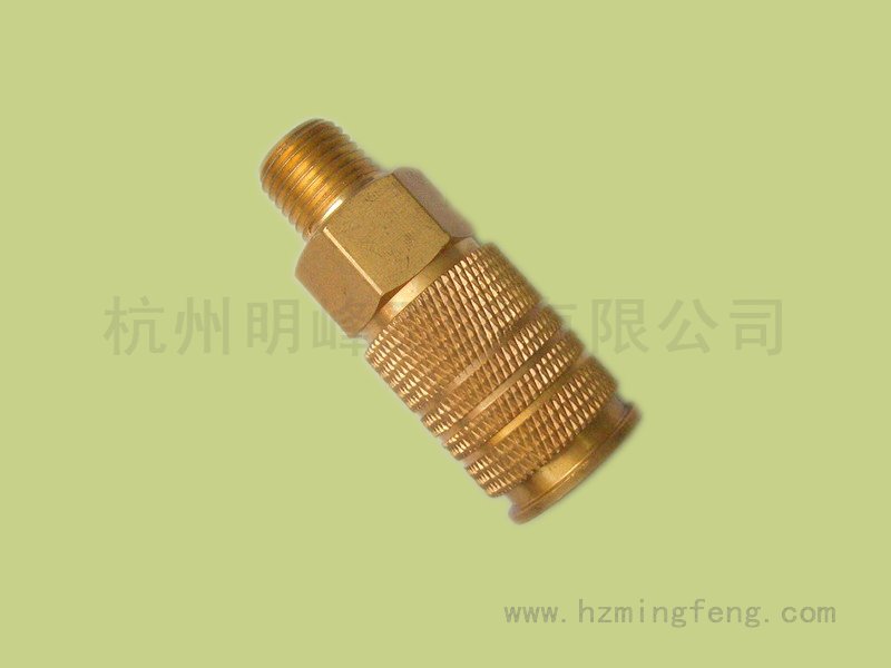 9004021(22*30.5 欧美通用母接 NPT1/4M)